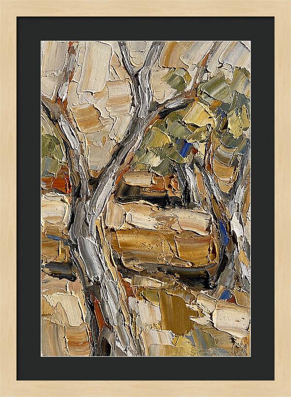 Tranquil Olive Grove 6093