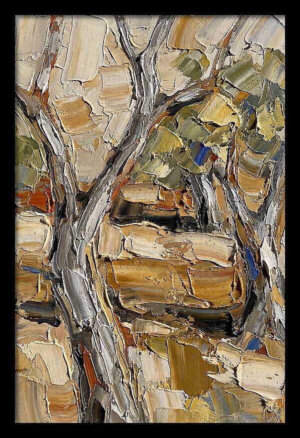 Tranquil Olive Grove 6093
