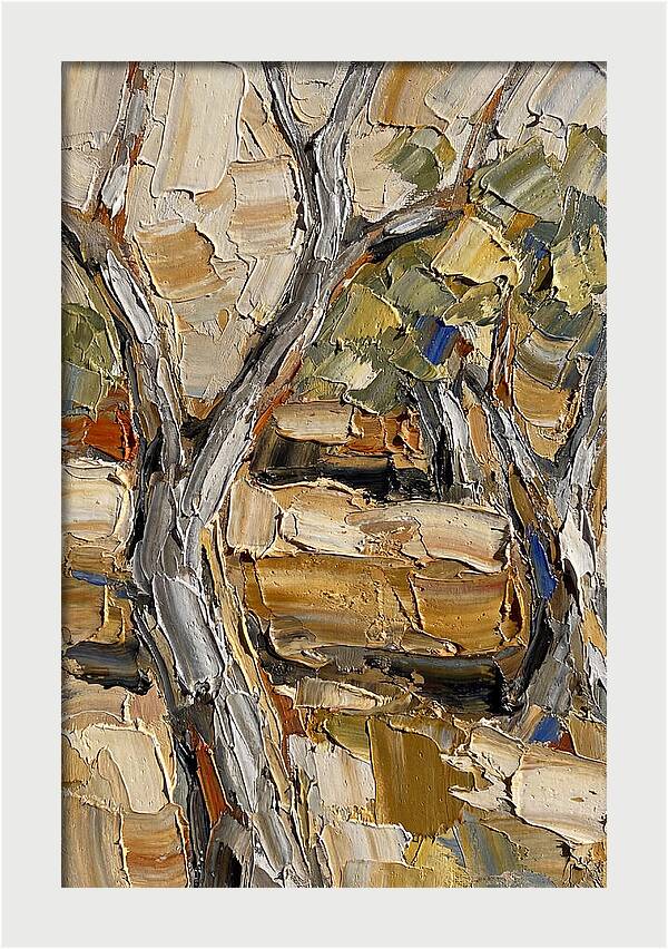 Tranquil Olive Grove 6093