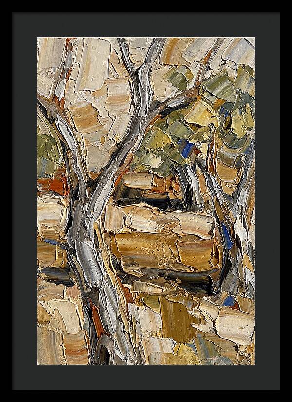 Tranquil Olive Grove 6093