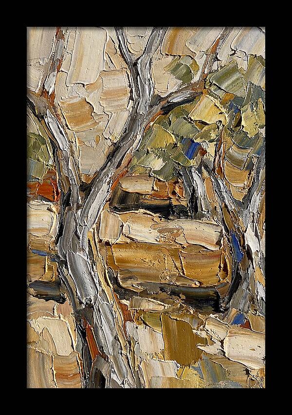 Tranquil Olive Grove 6093