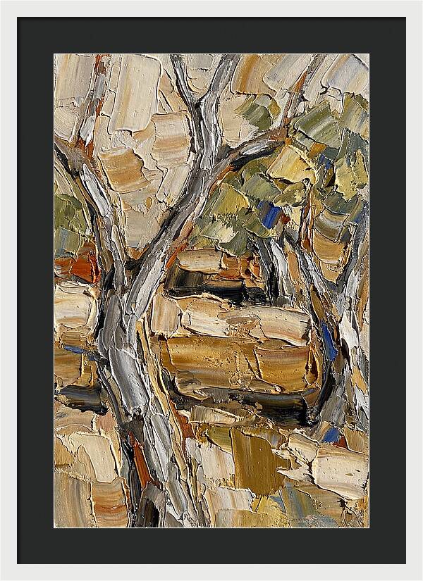 Tranquil Olive Grove 6093