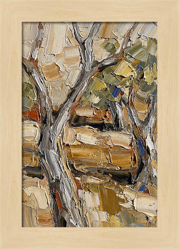 Tranquil Olive Grove 6093