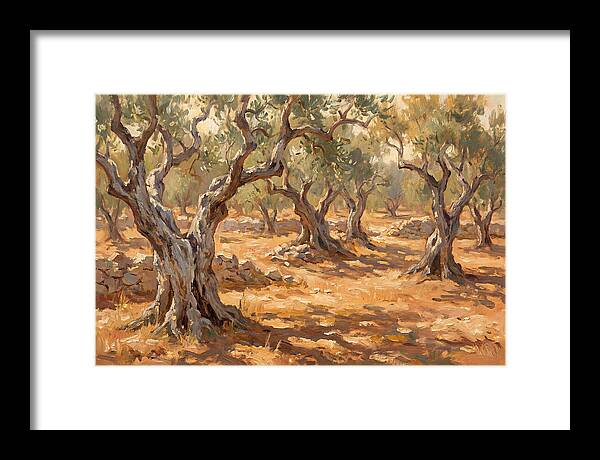 Tranquil Olive Grove 6094