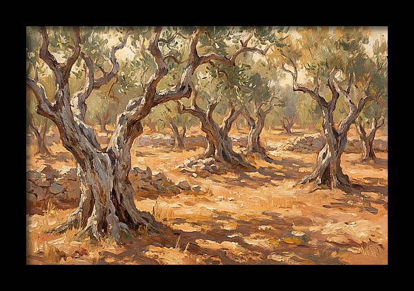 Tranquil Olive Grove 6094