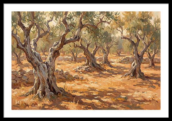 Tranquil Olive Grove 6094
