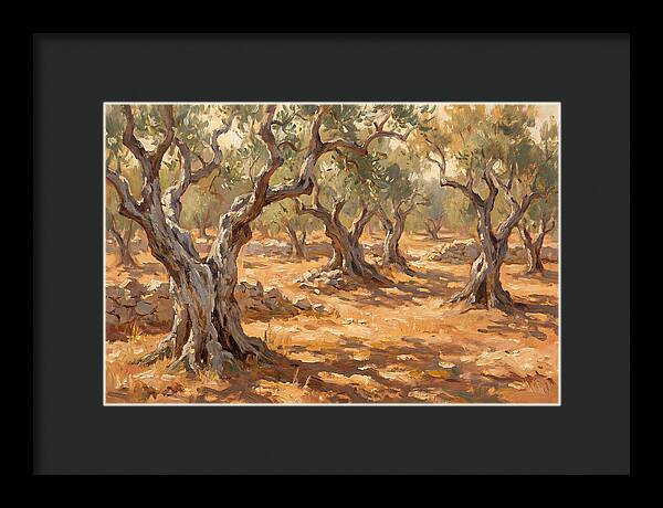 Tranquil Olive Grove 6094