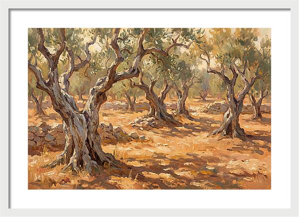 Tranquil Olive Grove 6094