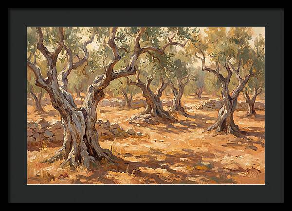 Tranquil Olive Grove 6094