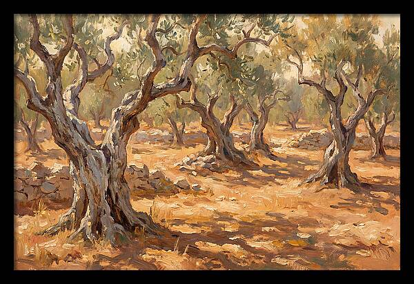Tranquil Olive Grove 6094