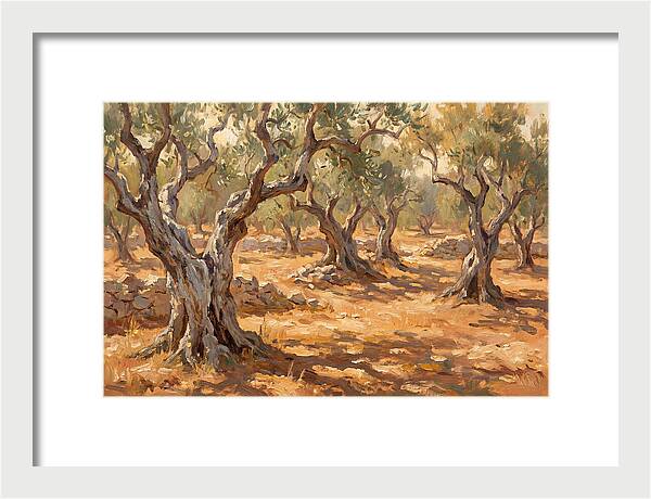 Tranquil Olive Grove 6094
