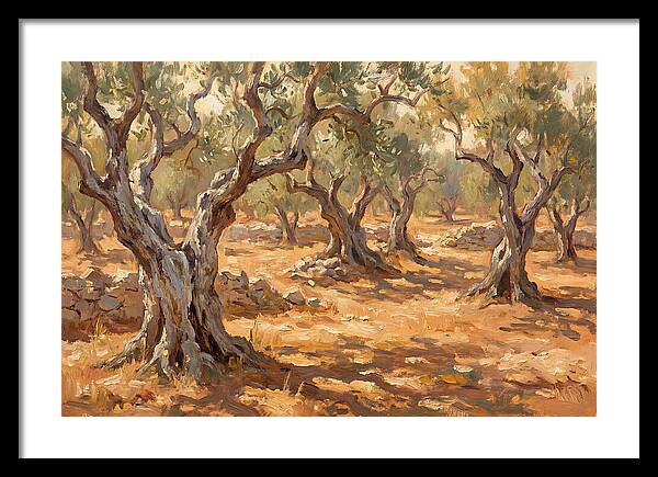 Tranquil Olive Grove 6094