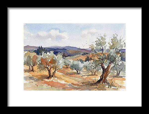 Tranquil Olive Grove 6096