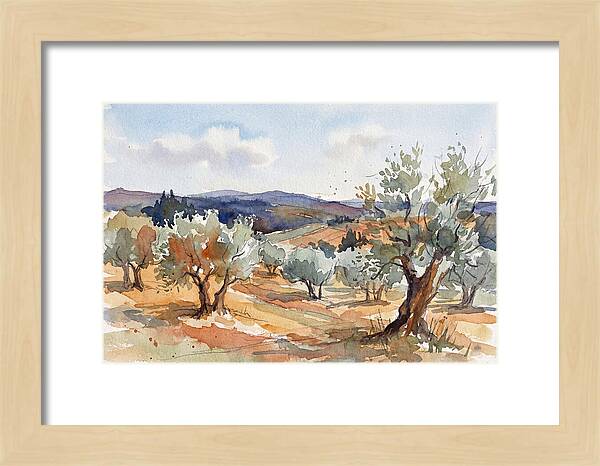Tranquil Olive Grove 6096