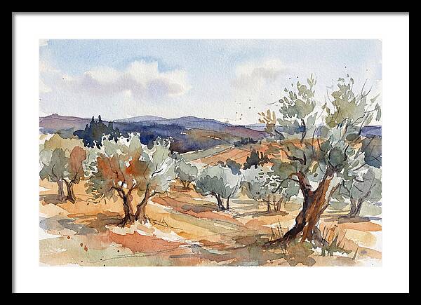 Tranquil Olive Grove 6096