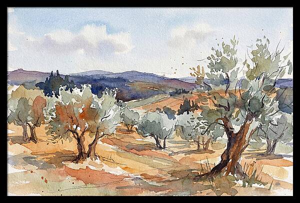Tranquil Olive Grove 6096