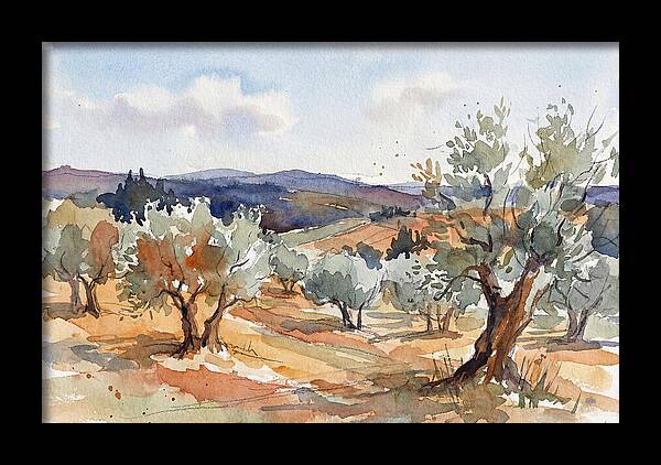 Tranquil Olive Grove 6096
