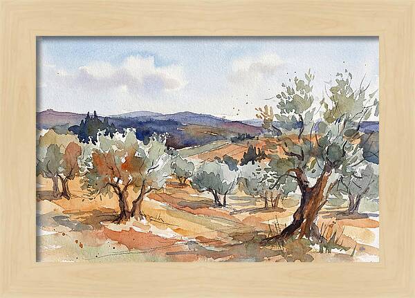 Tranquil Olive Grove 6096