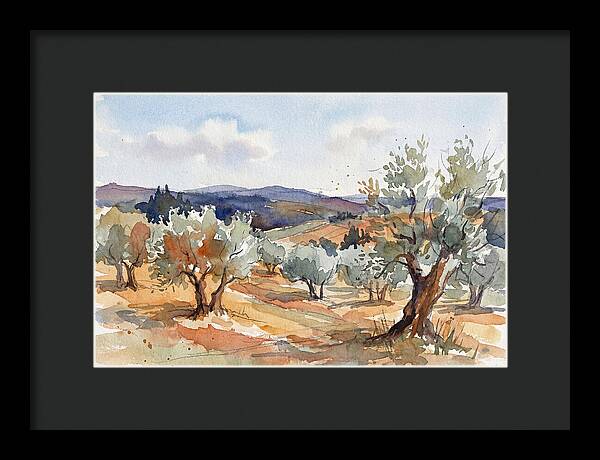 Tranquil Olive Grove 6096