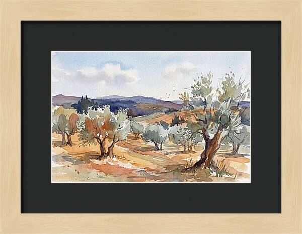 Tranquil Olive Grove 6096