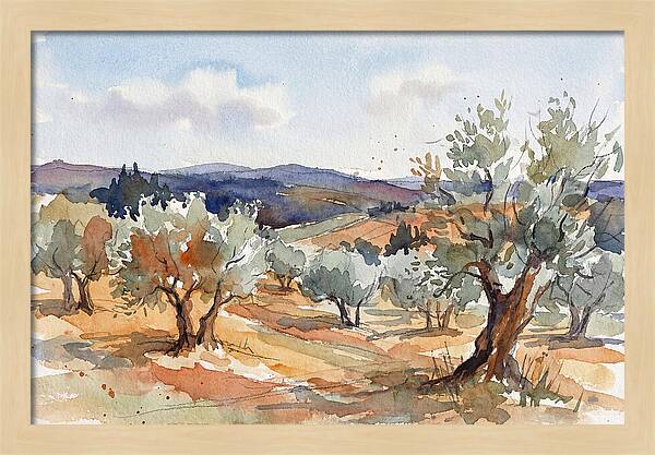 Tranquil Olive Grove 6096