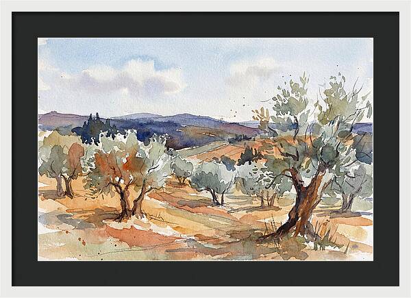 Tranquil Olive Grove 6096