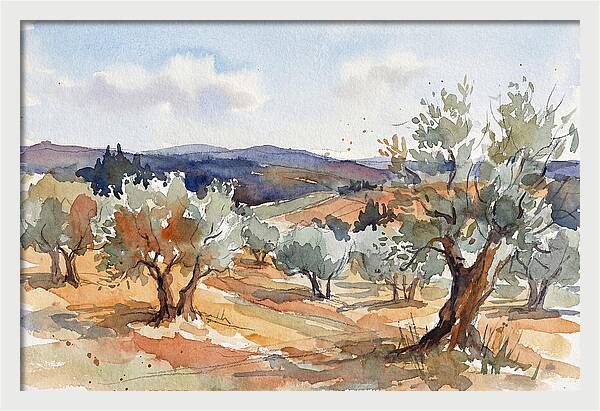 Tranquil Olive Grove 6096