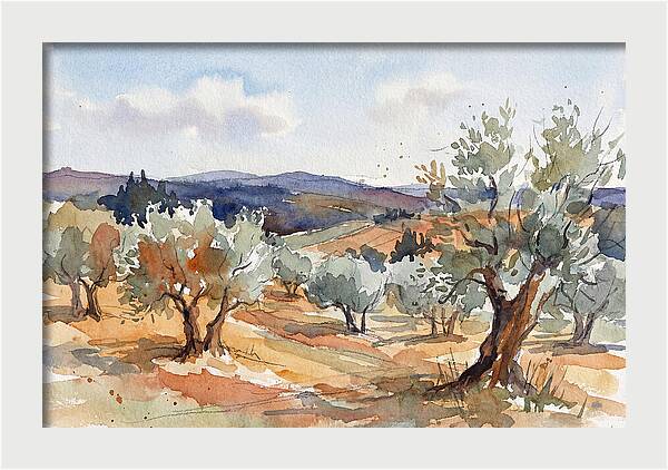 Tranquil Olive Grove 6096