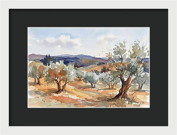 Tranquil Olive Grove 6096