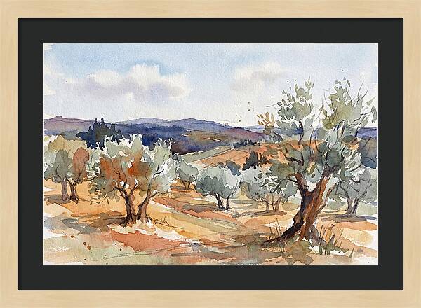 Tranquil Olive Grove 6096