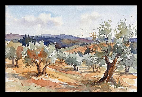 Tranquil Olive Grove 6096