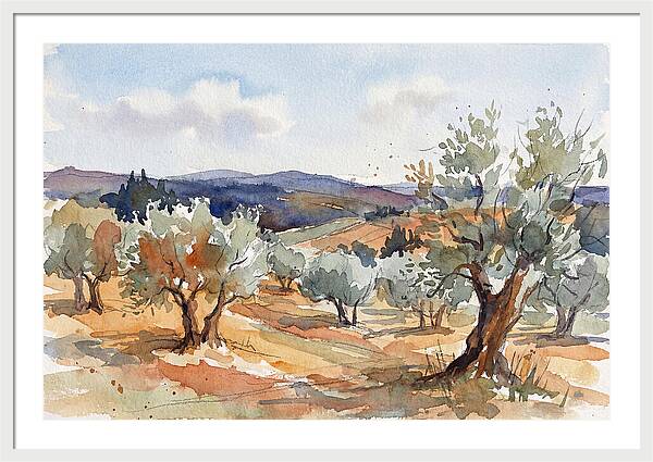 Tranquil Olive Grove 6096