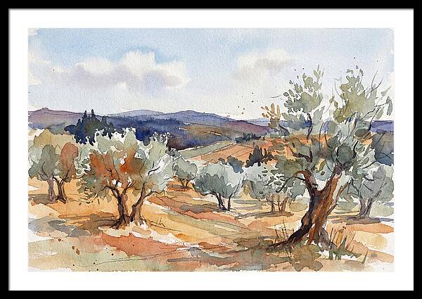 Tranquil Olive Grove 6096