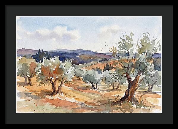 Tranquil Olive Grove 6096