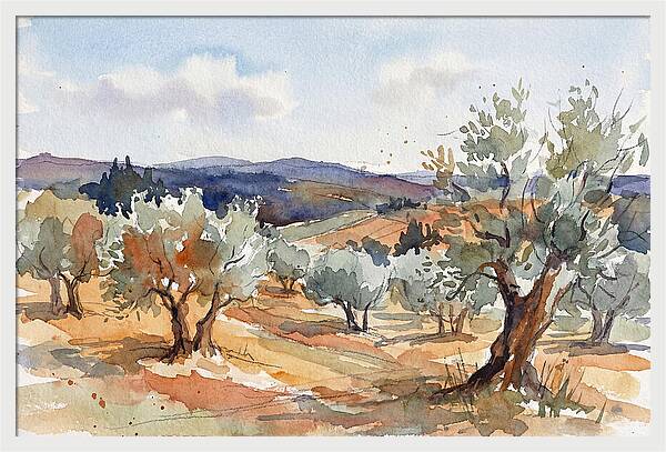 Tranquil Olive Grove 6096