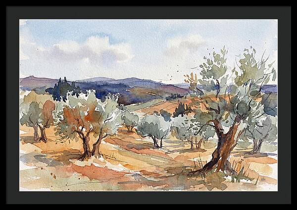Tranquil Olive Grove 6096