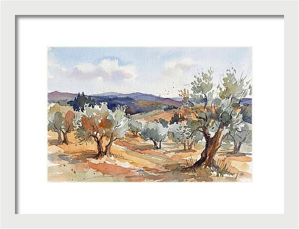 Tranquil Olive Grove 6096