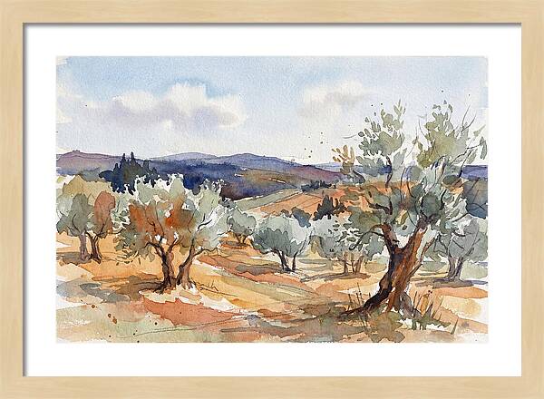 Tranquil Olive Grove 6096