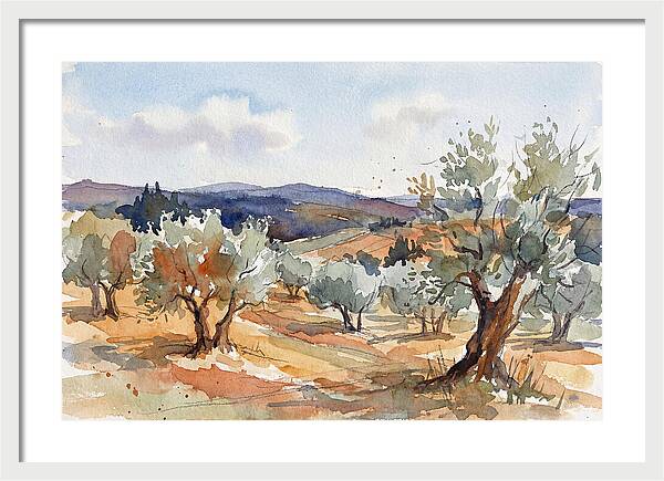 Tranquil Olive Grove 6096