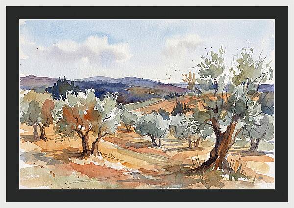 Tranquil Olive Grove 6096