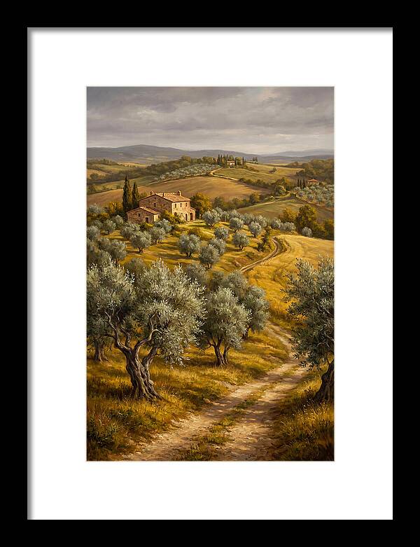 Tranquil Olive Grove 6104
