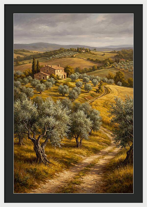 Tranquil Olive Grove 6104