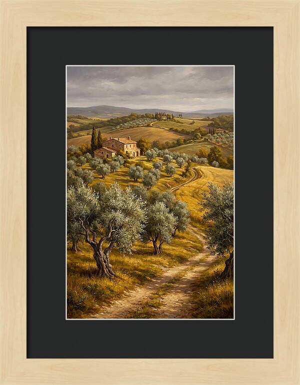 Tranquil Olive Grove 6104