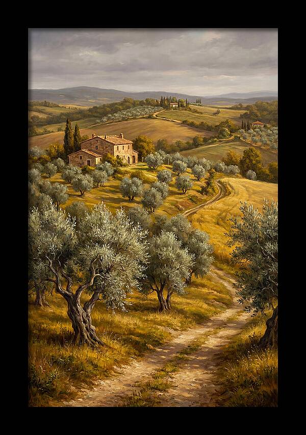 Tranquil Olive Grove 6104