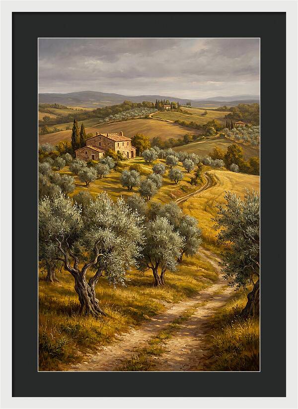 Tranquil Olive Grove 6104