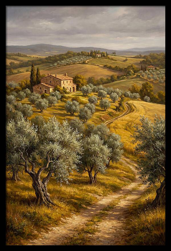 Tranquil Olive Grove 6104