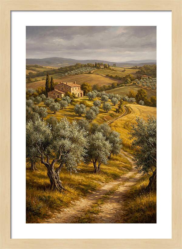 Tranquil Olive Grove 6104