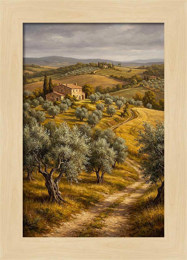 Tranquil Olive Grove 6104