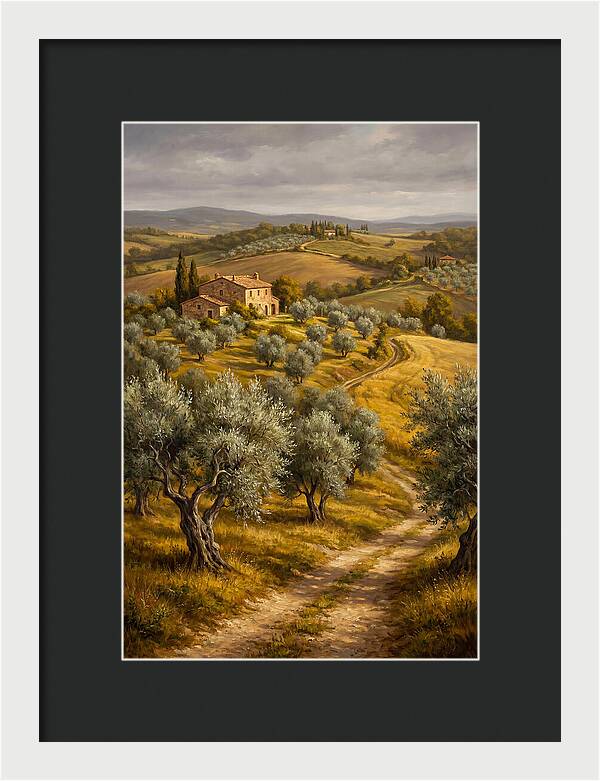 Tranquil Olive Grove 6104