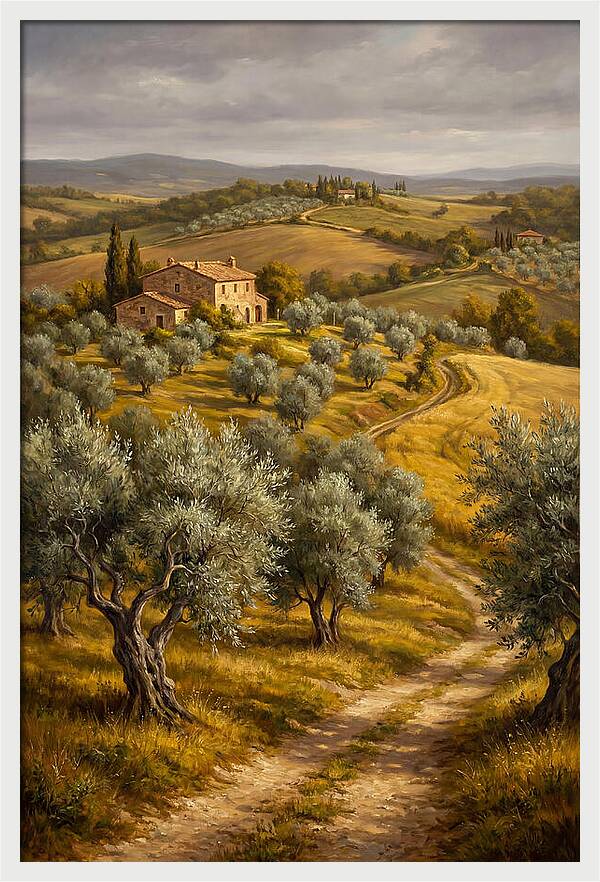 Tranquil Olive Grove 6104